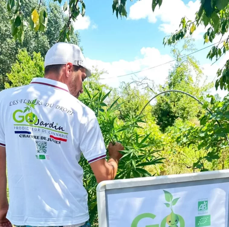 cbd shop des fleurs du dropt gojardin