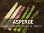 Asperges fraîches blanches, vertes et violettes, disposées sur un sol naturel, turions visibles, ambiance printanière douce, avec quand et comment semer, cultiver et récolter