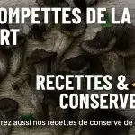 Trompettes de la mort – recettes et méthodes de conservation (séchage, congélation, bocaux, huile, pickles)