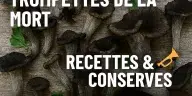 Trompettes de la mort – recettes et méthodes de conservation (séchage, congélation, bocaux, huile, pickles)