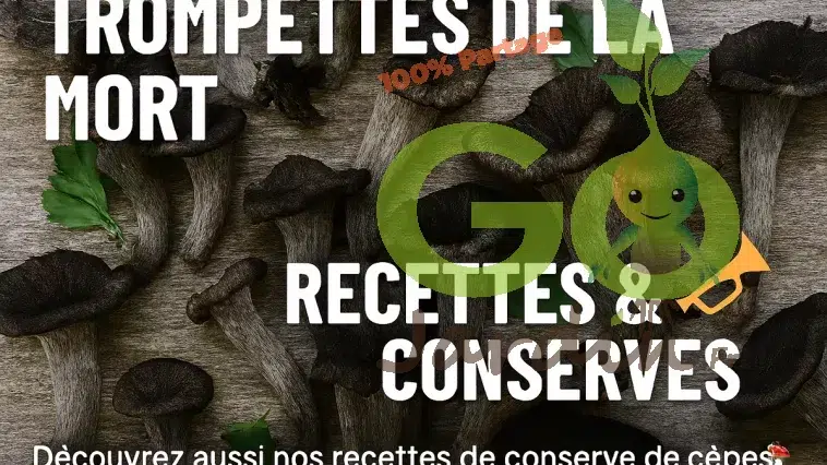 Trompettes de la mort – recettes et méthodes de conservation (séchage, congélation, bocaux, huile, pickles)
