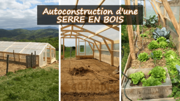 Autoconstruction d'une SERRE EN BOIS