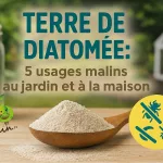 Terre de diatomée en poudre dans une cuillère en bois, avec potager et poulailler flous en arrière‑plan, illustrant ses utilisations naturelles contre les insectes au jardin, à la maison et en élevage.