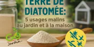 Terre de diatomée en poudre dans une cuillère en bois, avec potager et poulailler flous en arrière‑plan, illustrant ses utilisations naturelles contre les insectes au jardin, à la maison et en élevage.