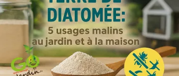 Terre de diatomée en poudre dans une cuillère en bois, avec potager et poulailler flous en arrière‑plan, illustrant ses utilisations naturelles contre les insectes au jardin, à la maison et en élevage.