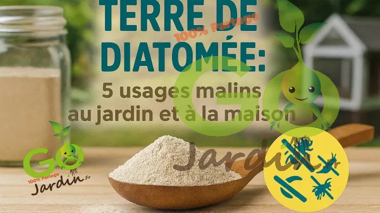 Terre de diatomée en poudre dans une cuillère en bois, avec potager et poulailler flous en arrière‑plan, illustrant ses utilisations naturelles contre les insectes au jardin, à la maison et en élevage.