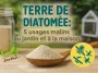 Terre de diatomée en poudre dans une cuillère en bois, avec potager et poulailler flous en arrière‑plan, illustrant ses utilisations naturelles contre les insectes au jardin, à la maison et en élevage.