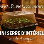 Mini serre d’intérieur avec 24 godets et jeunes semis en janvier, ambiance maison de campagne rustique