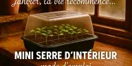 Mini serre d’intérieur avec 24 godets et jeunes semis en janvier, ambiance maison de campagne rustique