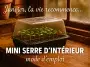 Mini serre d’intérieur avec 24 godets et jeunes semis en janvier, ambiance maison de campagne rustique