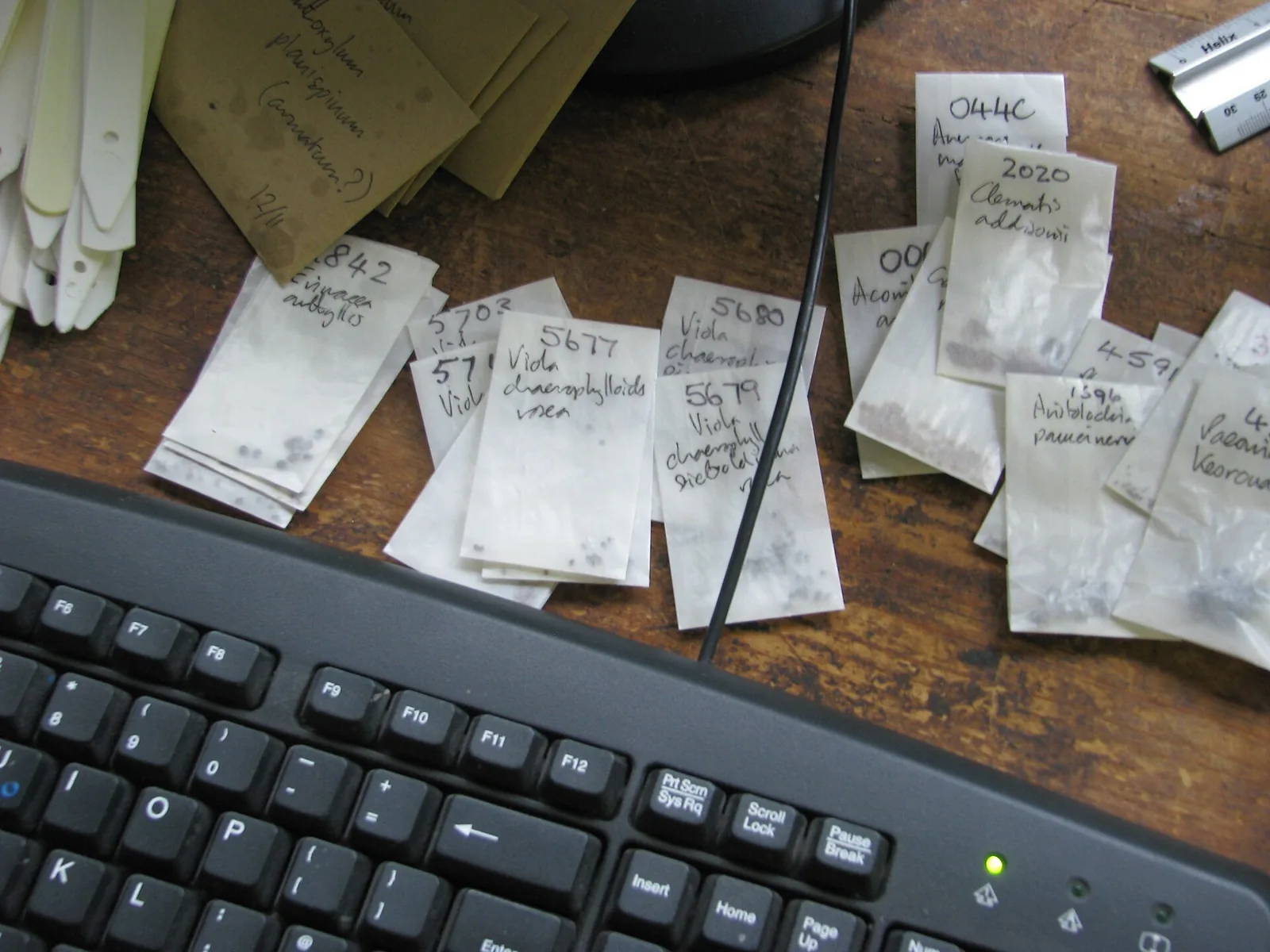 Sachets de graines étiquetés à la main pour une bourse d'échange