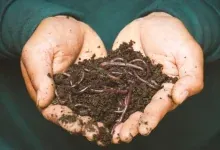 Comment-entretenir-et-utiliser-son-compost