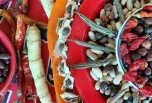 Collection de graines anciennes de haricots, piments et légumes présentées dans des coupelles