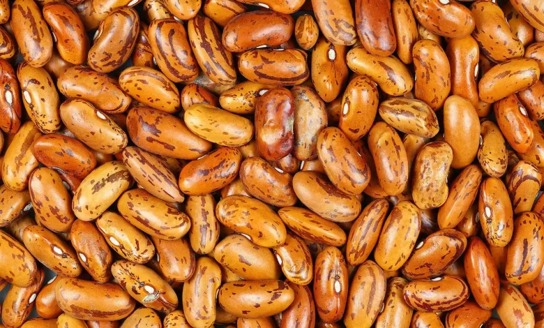 Graines de haricots rouges tachetés en vrac