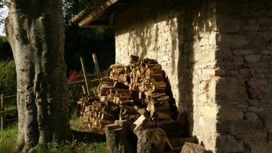 Tas de bûches fendues stocké sous un auvent contre un mur de pierre