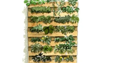 Un jardin vertical avec des palettes
