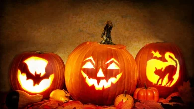 Trois citrouilles d'Halloween sculptées et éclairées parmi les feuilles d'automne