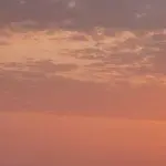 Illustration du profil de Rogeau Didier