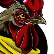 Illustration du profil de pacotile paco