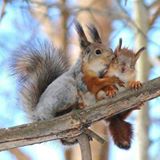 Illustration du profil de Sol-Ange-Marie