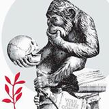 Illustration du profil de Philippe-Vallee