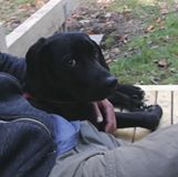 Illustration du profil de Pierre-Barbulesco