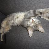 Illustration du profil de Marie-France-Marcou