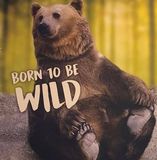 Illustration du profil de Patrick-Bichat